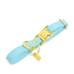 Pop Dog - Collier Dragueur Bleu pour Chien