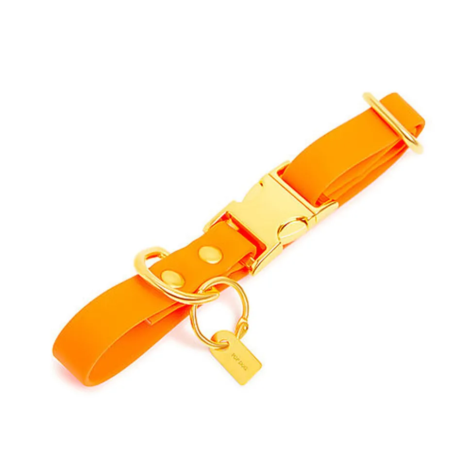 Pop Dog - Collier Pitchoune Orange pour Chien