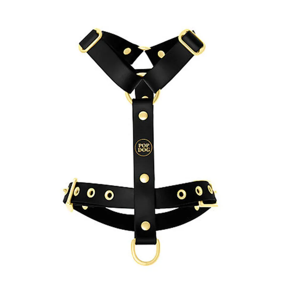 Pop Dog - Harnais à œillets Badass Noir pour Chiens - S