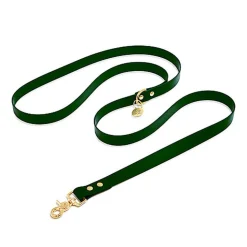 Pop Dog - Laisse Bandoulière Elégant Vert pour Chien