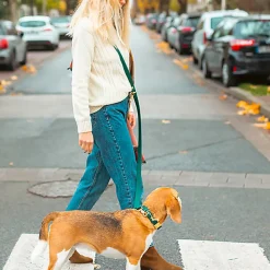 Pop Dog - Laisse Bandoulière Elégant Vert pour Chien