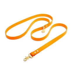 Pop Dog - Laisse Bandoulière Pitchoune Orange pour Chien