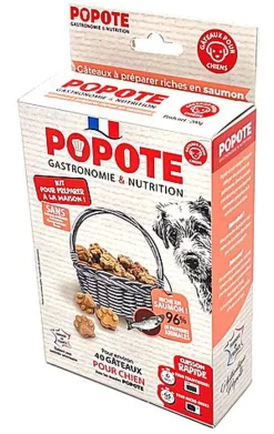 Popote - Kit friandises au Saumon pour Chiens - 200g