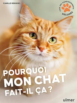 Pourquoi mon chat fait-il ça ?