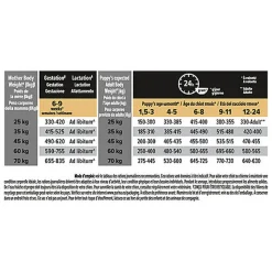 Pro Plan - Croquettes Healthy Start Large Athletic Poulet pour Chiot
