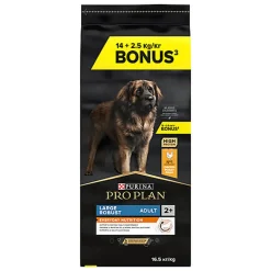 Pro Plan - Croquettes Large Robust Poulet pour Chien