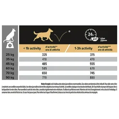 Pro Plan - Croquettes Large Robust Poulet pour Chien