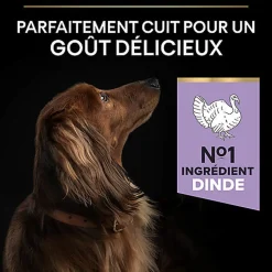 Pro Plan - Croquettes OPTIDIGEST Small & Mini Adult Sans Céréales Dinde pour Chien