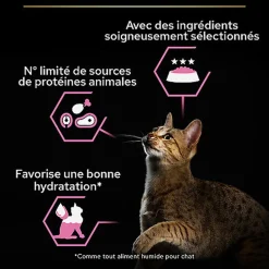 Pro Plan - Pochons Adulte Delicate Digestion Dinde en Sauce pour chat adulte - 10x85g
