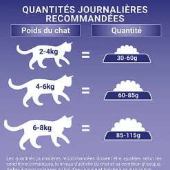 Purina One - Croquettes Adulte Bifensis au Poulet pour Chat - 3Kg