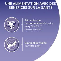 Purina One - Croquettes au Poulet et Céréales pour Chat Adulte - 1,5Kg