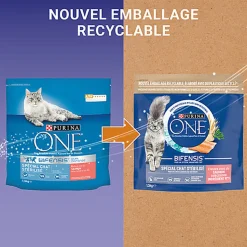 Purina One - Croquettes au Saumon et Blé pour Chat Adulte Stérilisé