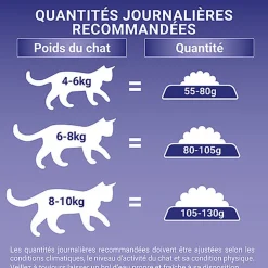 Purina One - Croquettes au Saumon et Blé pour Chat Adulte Stérilisé