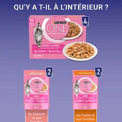 PURINA ONE - Sachets Fraîcheurs en Sauce Saumon et Poulet pour Chatons - 8x85g
