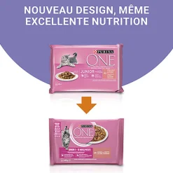PURINA ONE - Sachets fraîcheurs au Saumon pour Chatons - 4x85g