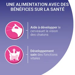 PURINA ONE - Sachets fraîcheurs au Saumon pour Chatons - 4x85g