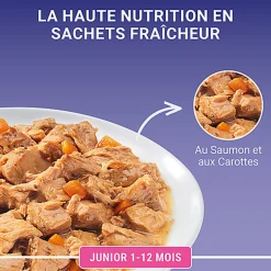 PURINA ONE - Sachets fraîcheurs au Saumon pour Chatons - 4x85g