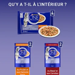 PURINA ONE - Sachets fraîcheurs Poulet et Boeuf pour Chats - 4x85g