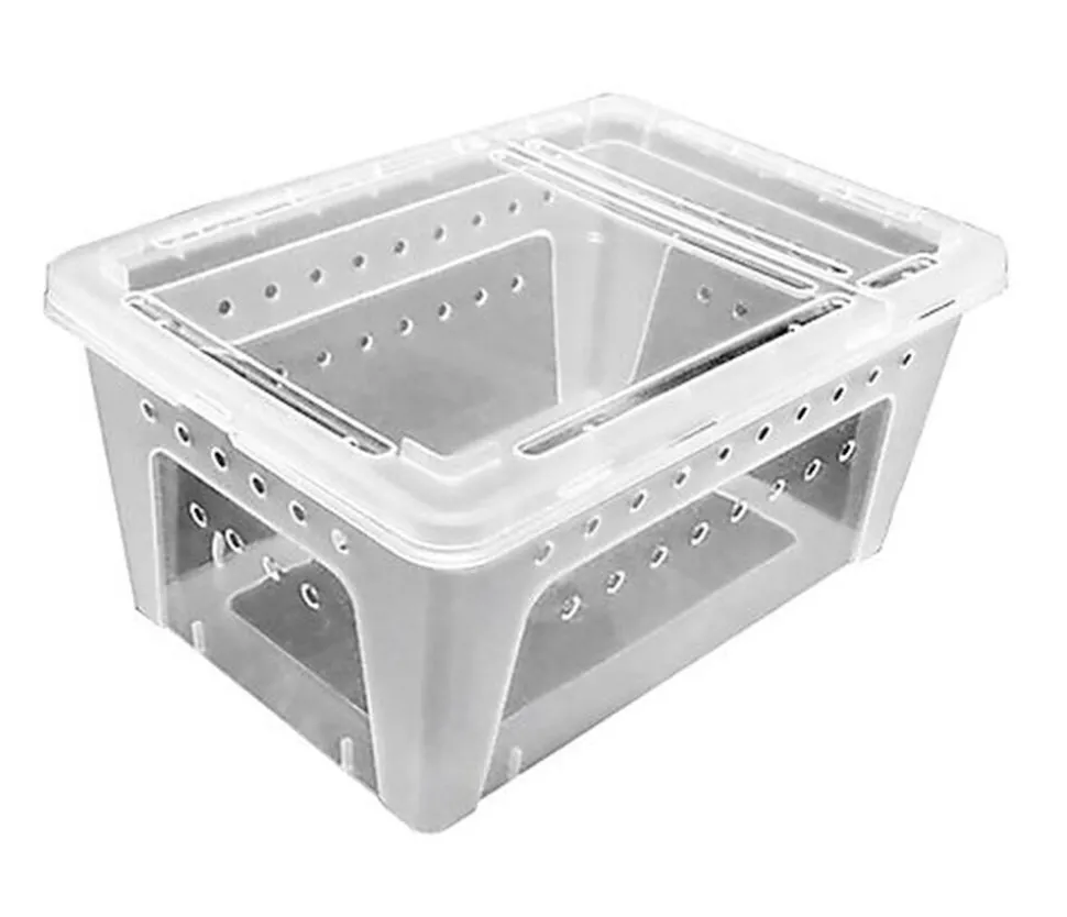 Reptiles Planet - Boite Elevage Reptiles ou Insectes M - 26x17,5x11,5cm