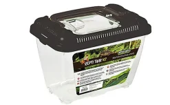 Reptiles Planet - Terrarium Plastique Repti Tank XS pour Reptiles - 18x11,5x13cm