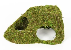 Reptizoo - Décor Dôme Mousse Naturelle - 25,5x14x11cm