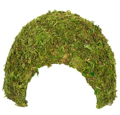 Reptizoo - Décor Dôme Mousse Naturelle - 11x11x9cm
