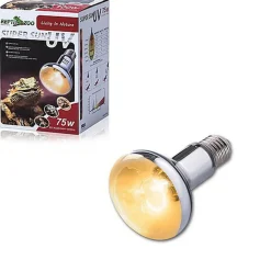 Reptizoo - Lampe Supersun UVA + UVB - 75W