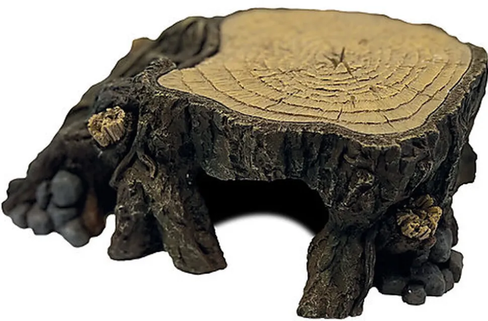 Repto - Abri Décoration Trunk L - Réptiles