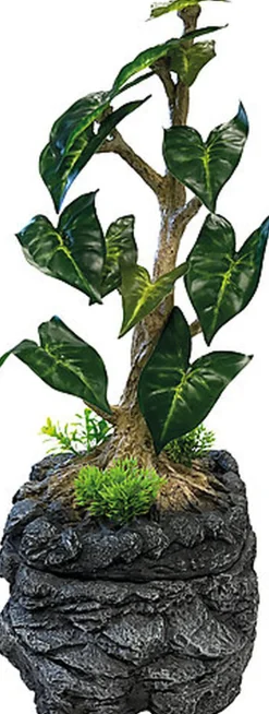 Repto - Arbre à Gouttes D'Eau - Réptiles