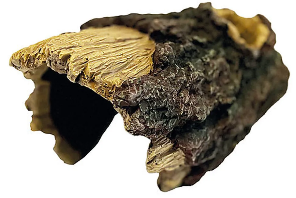 Repto - Arbre Cachette Wood Home L - Réptiles