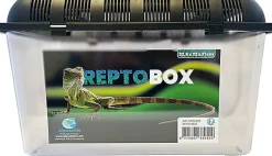 Repto - Box Terrarium 32,5 X 22 X 21cm - Réptiles
