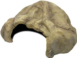 Repto - Décoration Cave Xl - Réptiles