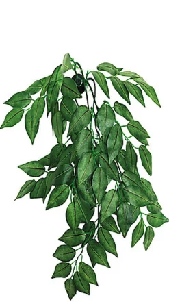 Repto - Décoration Plante Verte Suspendue - 30cm