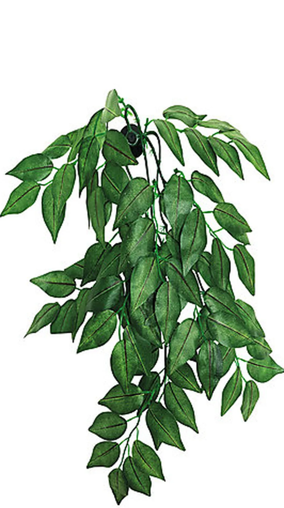 Repto - Décoration Plante Verte Suspendue - 30cm