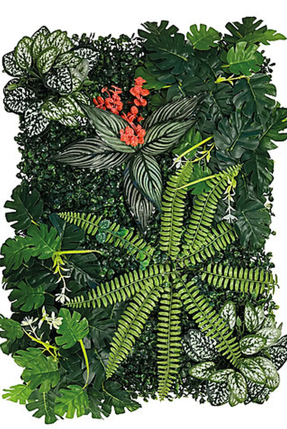 Repto - Décoration Repto Plant Back Wall Mat 40-60 Cm 3