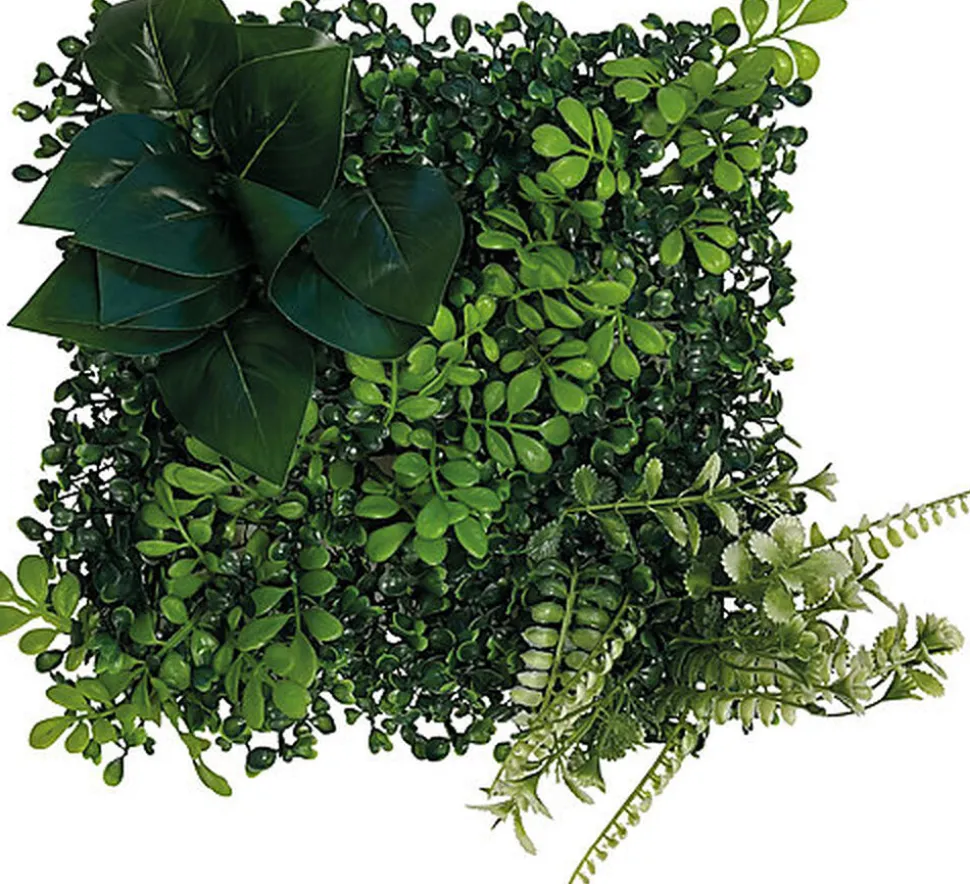 Repto - Décoration Repto Plant Back Wall Mat 25x25 Cm 2