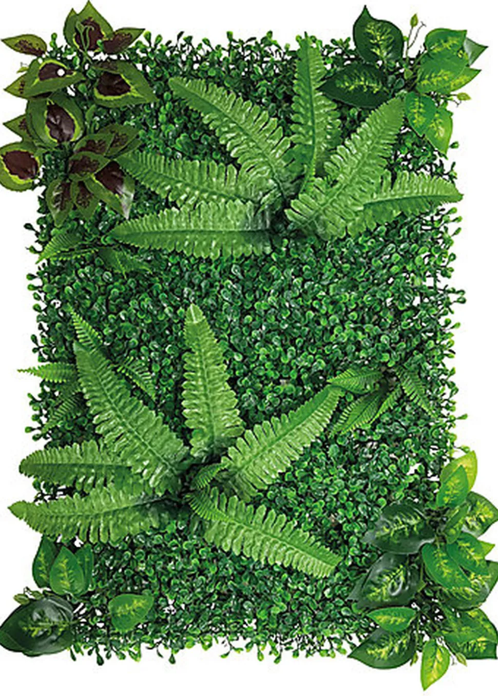 Repto - Décoration Repto Plant Back Wall Mat 40-60 Cm 1