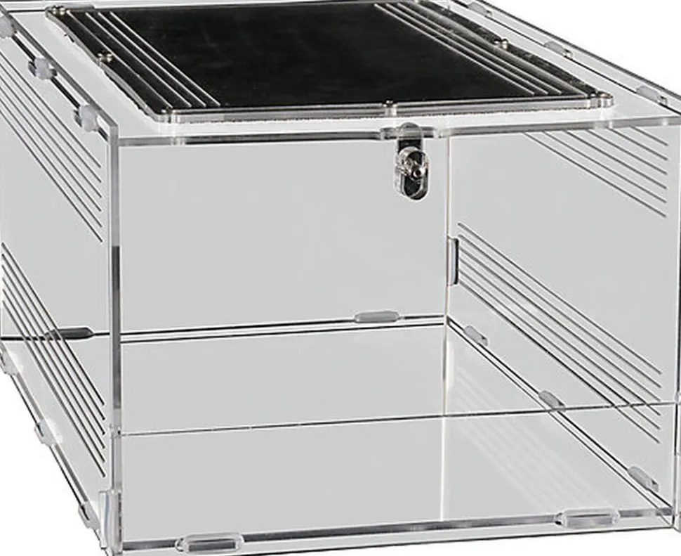 Repto - Terrarium AcryliqueTerra Clear - 30x20x15,5cm