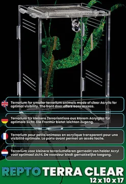 Repto - Terrarium AcryliqueTerra Clear - 11,5x10x16,5cm