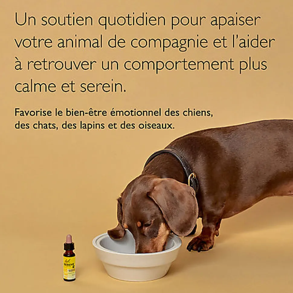 Rescue Pets - Mélange Compte-gouttes Fleurs de Bach - 20ml