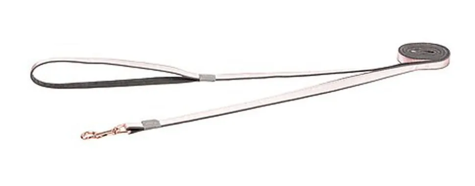 Rogz - Laisse Urban Rose pour Chiens