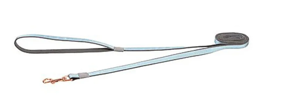 Rogz - Laisse Urban Turquoise pour Chiens