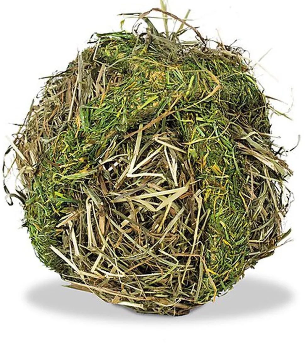 Rongis - BOULE DE FOIN pour rongeurs - 125g