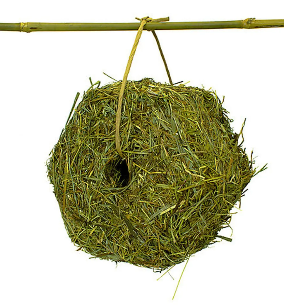 Rongis - Meule de Foin Nature pour Rongeurs - 400g