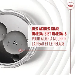 Royal Canin - Aliment Complémentaire Adult Skin & Coat Chews pour Chiens - 240g