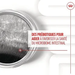 Royal Canin - Aliment Complémentaire Adult Digestion Chews pour Chiens - 160g