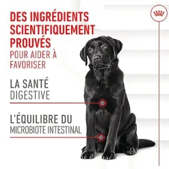 Royal Canin - Aliment Complémentaire Adult Digestion Chews pour Chiens - 160g