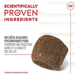 Royal Canin - Aliment Complémentaire Adult Digestion Chews pour Chiens - 160g