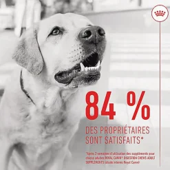 Royal Canin - Aliment Complémentaire Adult Digestion Chews pour Chiens - 160g