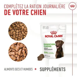 Royal Canin - Aliment Complémentaire Adult Digestion Chews pour Chiens - 160g